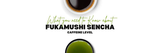 Fukamushi Sencha Kofeina_ Co musisz wiedzieć