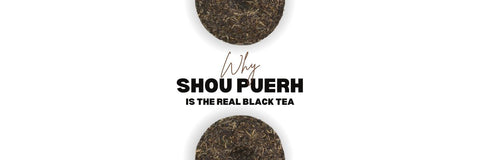 powinieneś puerh