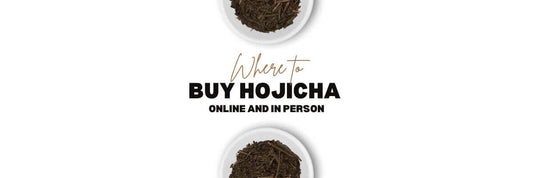 gdzie kupić Hojicha