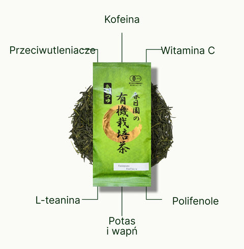 6ad76e518a963_nio-teas-sencha-kasugaen-asatsuyu-nutritional-benefits_5a13b7c2-6198-469c-ab50-b359dc13fb79_pl.webp
