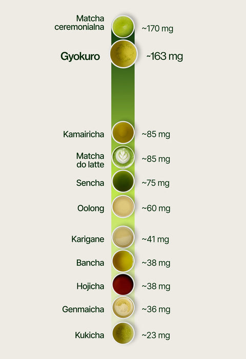 6ad76f057e26f_caffeine_chart_gyokuro_pl.webp