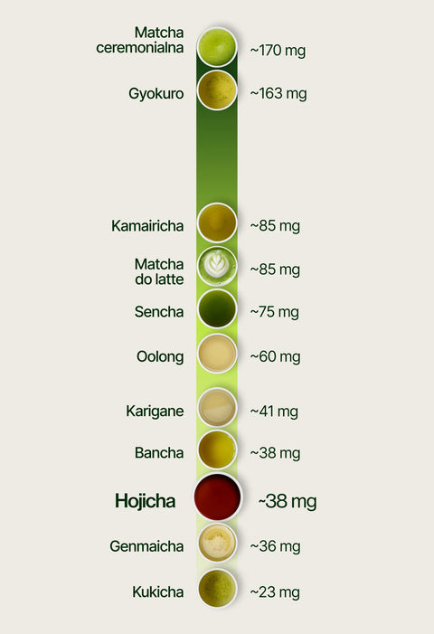 6ad76f07988bc_caffeine_chart_hojicha_pl.webp