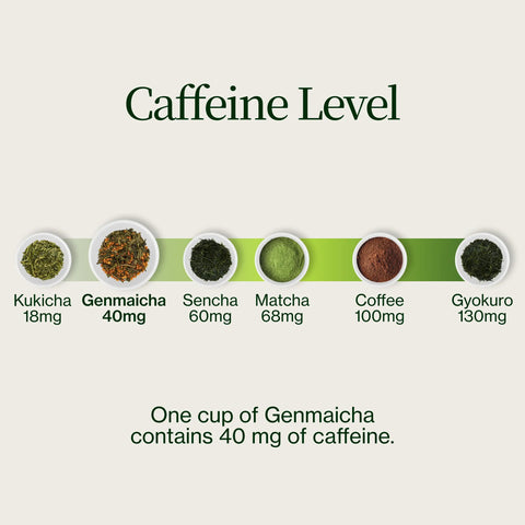 Genmaicha Popcorn Zielona herbata