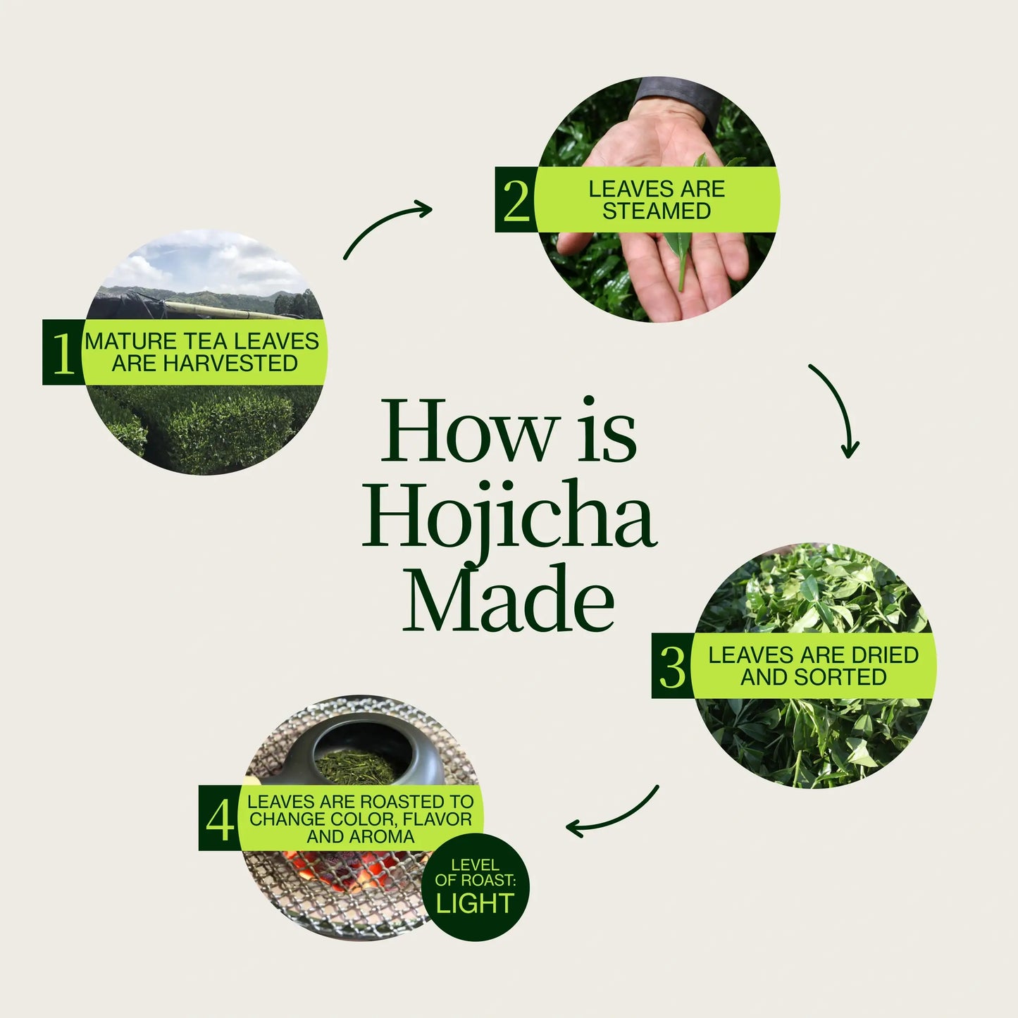 Prażona Hojicha Zielona Herbata Noike
