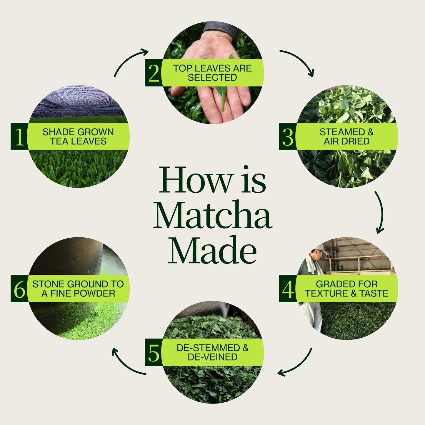 Proszek Matcha Latte Premium