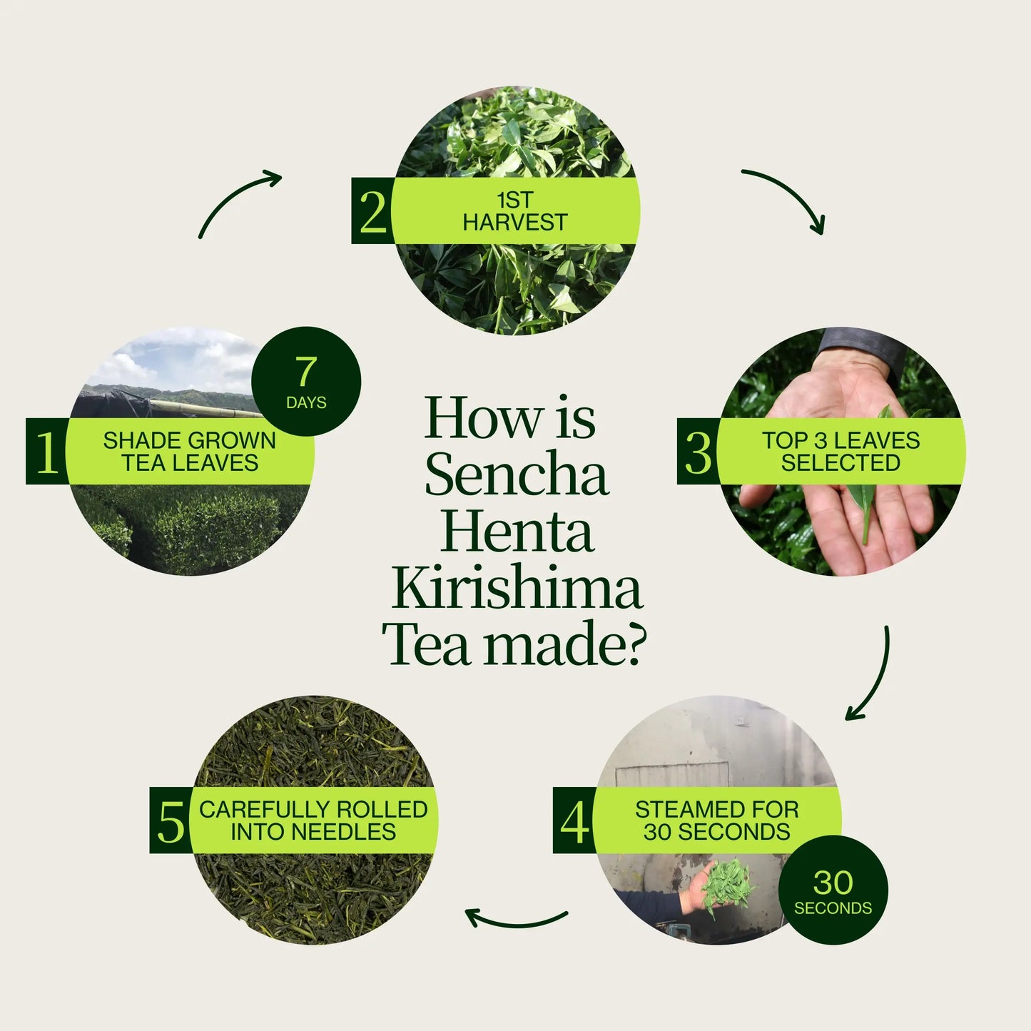 Sencha Herbata Henta Kirishima