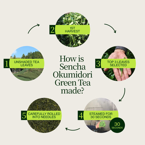 Zielona herbata Sencha Okumidori