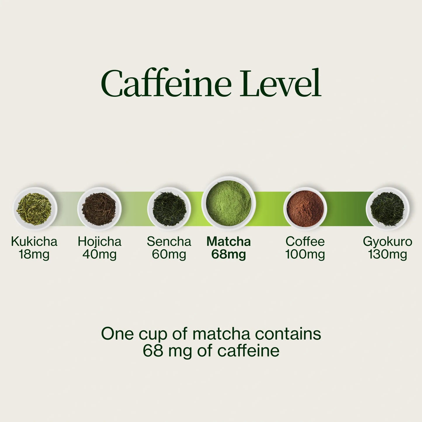 Proszek Matcha Latte Premium