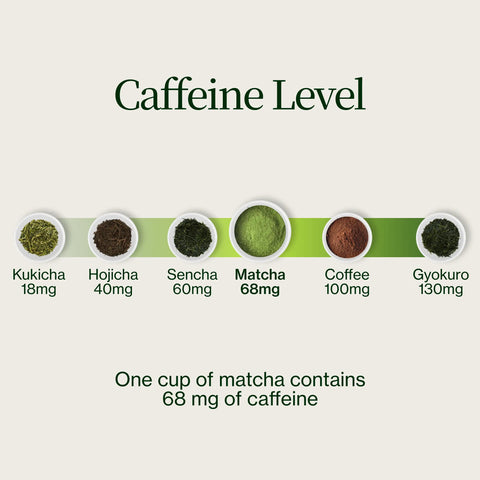 Matcha Zen Sakamoto