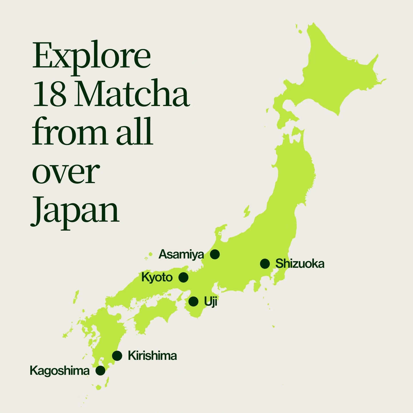 Zestaw 18 próbek Matcha