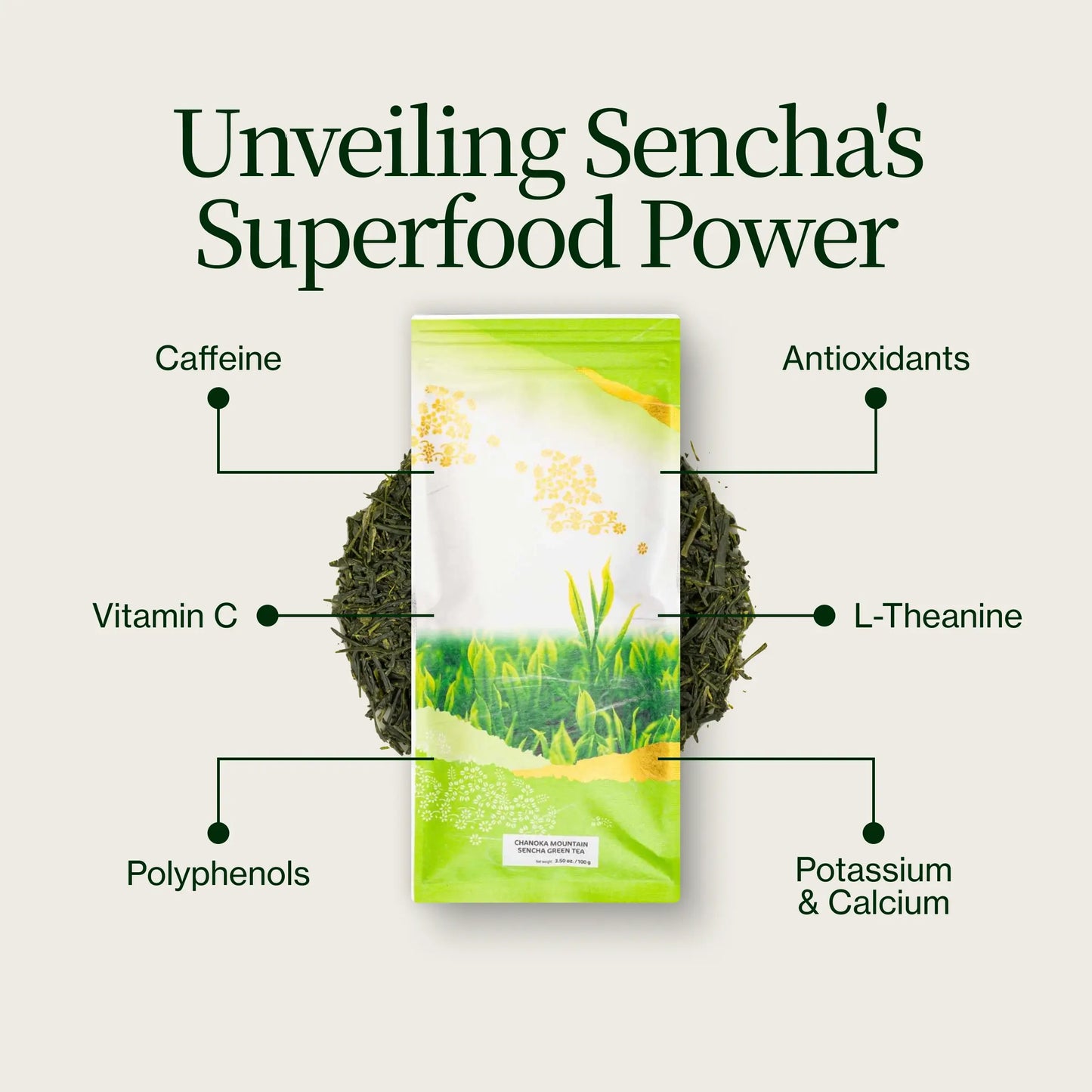 Góra Chanoka Sencha