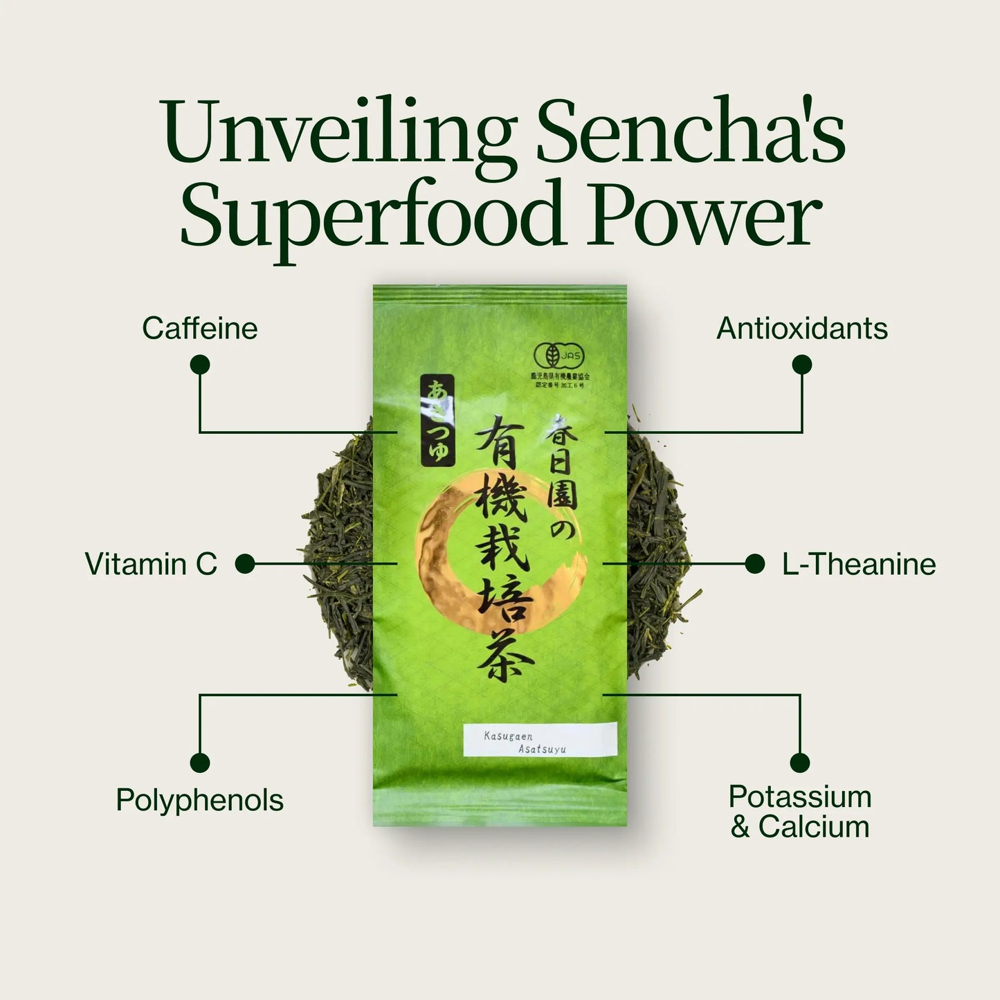 Sencha Kasugaena Asatsuyu