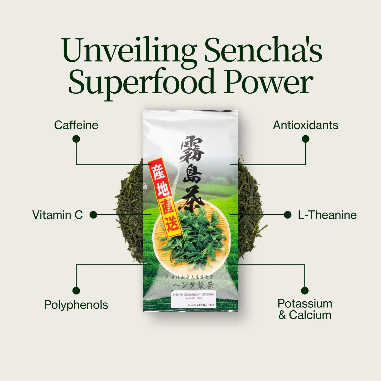 Sencha Zielona Herbata Okumidori