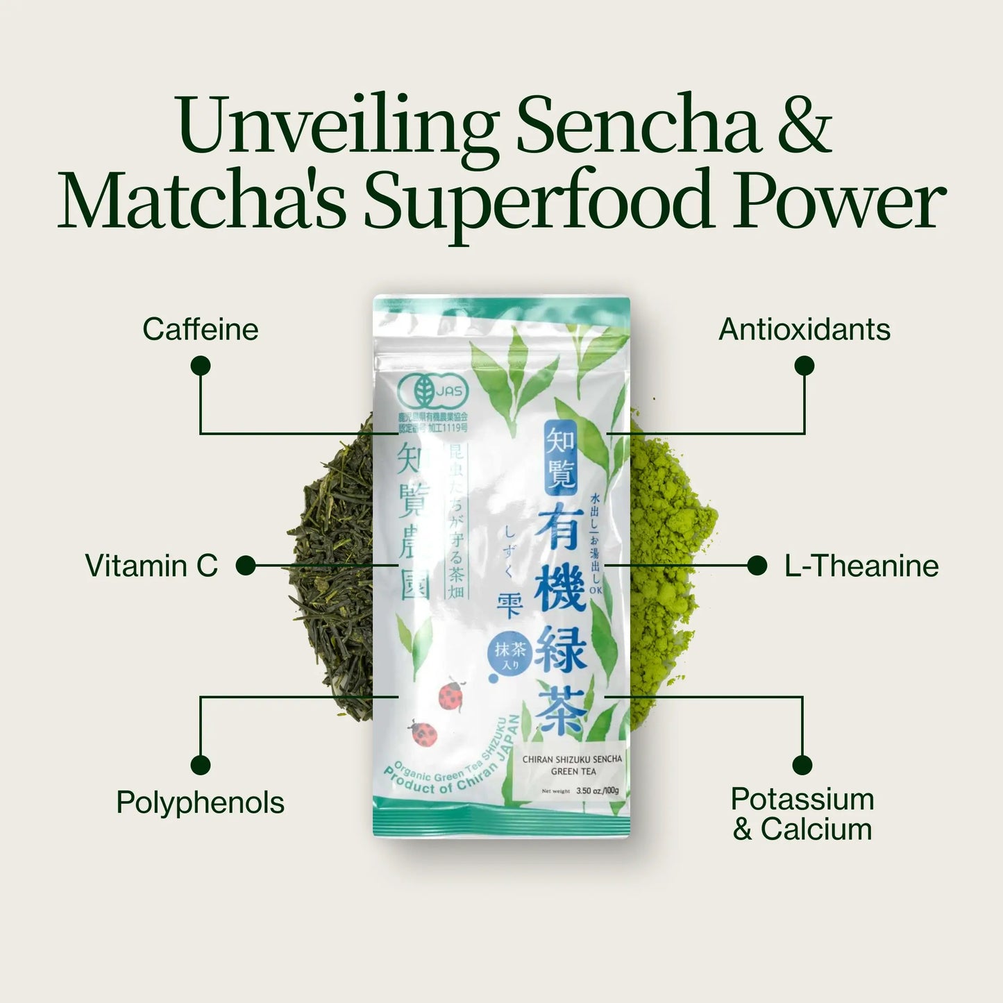 Sencha Shizuku z proszkiem Matcha