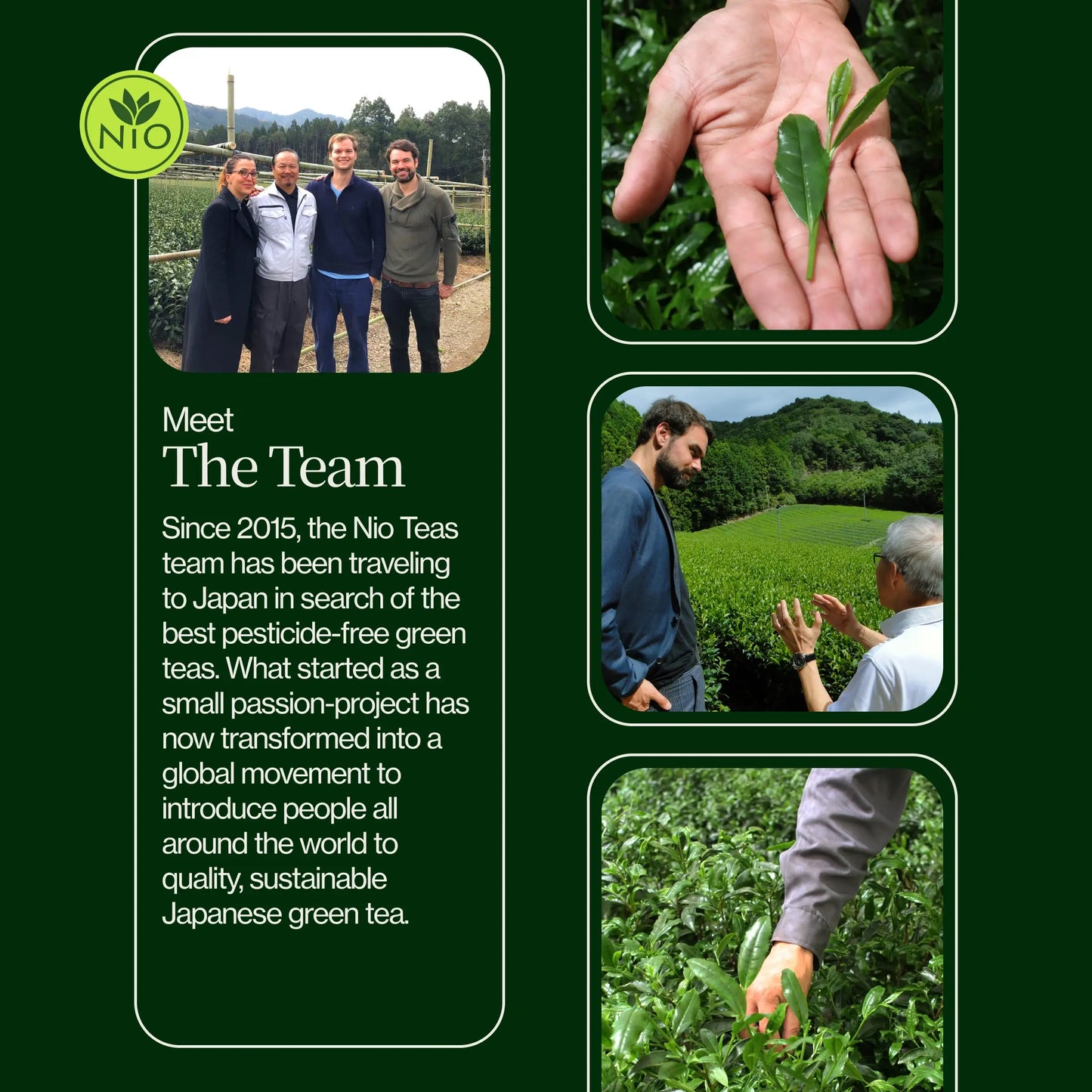 Proszek Matcha Latte Premium