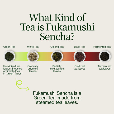 Zielona herbata Sencha Okumidori