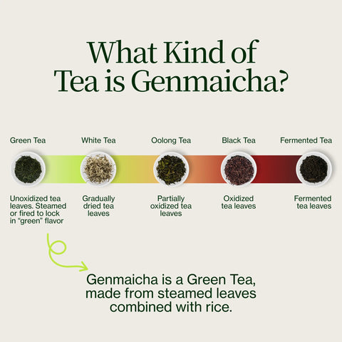 Genmaicha Popcorn Zielona herbata