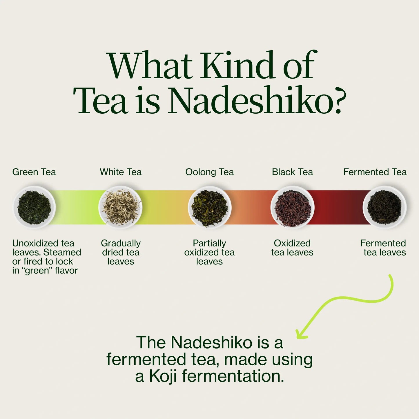 Japońska Herbata Fermentowana Z Różą Nadeshiko