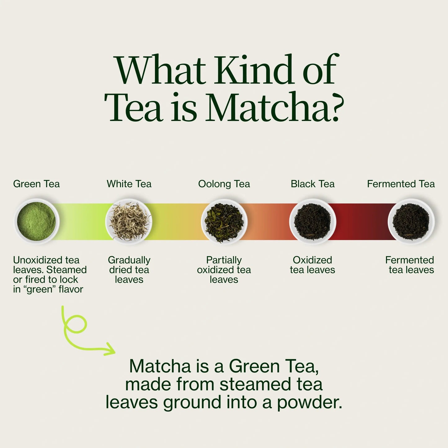 Proszek Matcha Latte Premium