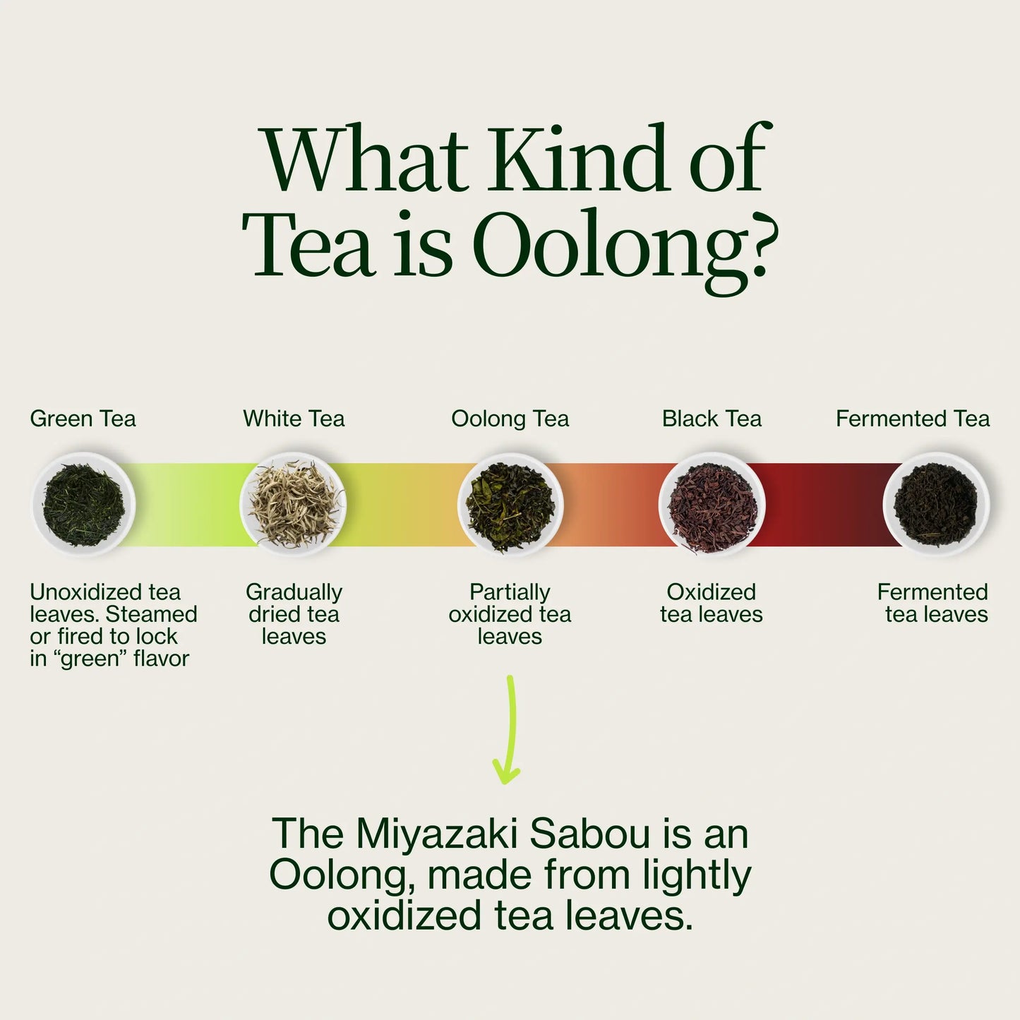 Herbata Miyazaki High Mountain Oolong