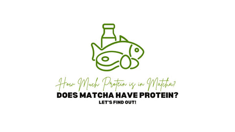 Czy matcha zawiera białko? Ile białka jest w matchy?