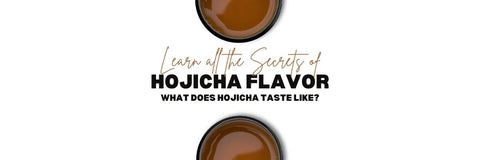 Hojicha Smak dowiedz się co to jest Hojicha smakować jak
