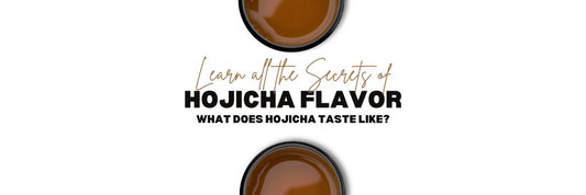 Hojicha Smak dowiedz się co to jest Hojicha smakować jak