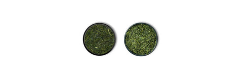 fukamushi kontra Sencha