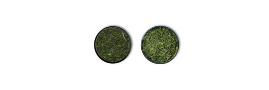 fukamushi kontra Sencha