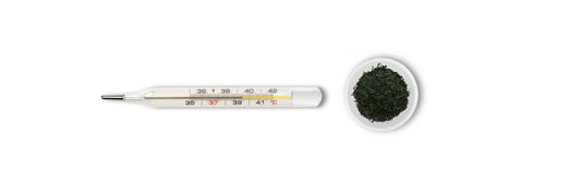 Gyokuro temperatura parzenia