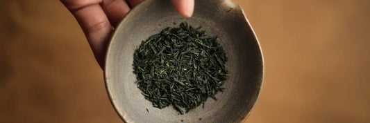 gyokuro_tea_in_ shiboridashi