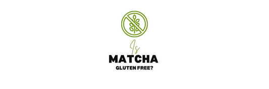 czy matcha jest bezglutenowa
