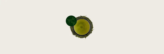 Sencha RGCC