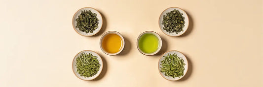 Side-by-side display of tamaryokucha curled comma-shaped leaves and sencha straight needle-shaped leaves with two brewed cups showing the pale gold of tamaryokucha versus the brighter green of sencha.