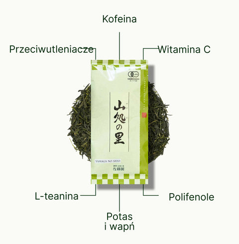 6ad76e4cbeb7e_nio-teas-sencha-shizuoka-yamaga-no-sato-nutritional-benefits_54f5df69-c4c4-4e27-9a0c-6b490a95922a_pl.webp