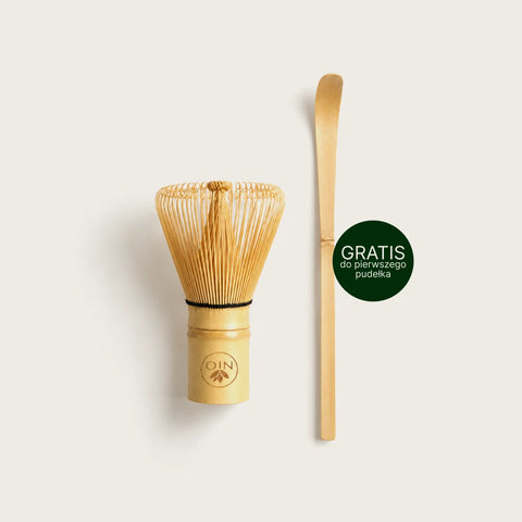 6ad76efa81009_start_with_the_right_tools_pl.webp