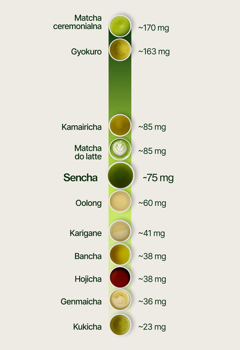 6ad76f09058da_caffeine_chart_sencha_pl.webp
