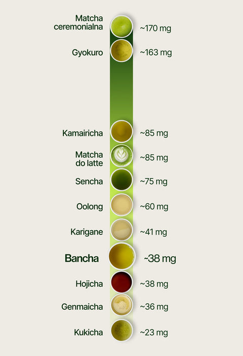 6ad76f0720571_caffeine_chart_bancha_pl.webp