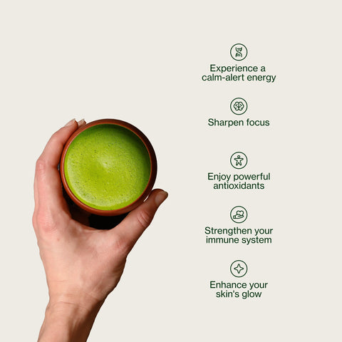 Matcha premium Chiran Zielona Herbata
