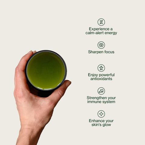 Zielona herbata Sencha Okumidori