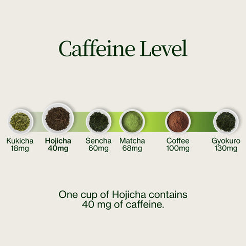 Palona zielona herbata Hojicha Noike