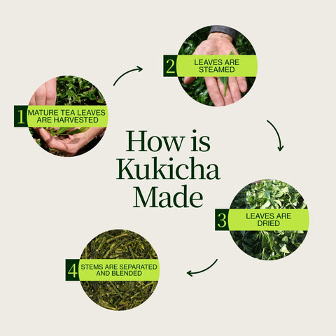 Chanoka Kukicha Zielona Herbata