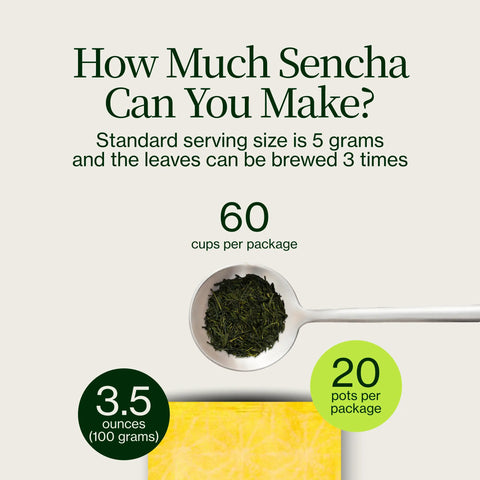Złota Sencha Yabukita Kasugaen