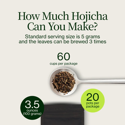 Hojicha w proszku