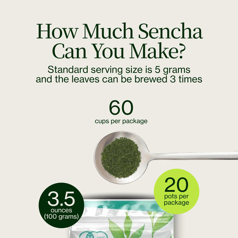 Sencha Shizuku z Matcha w proszku