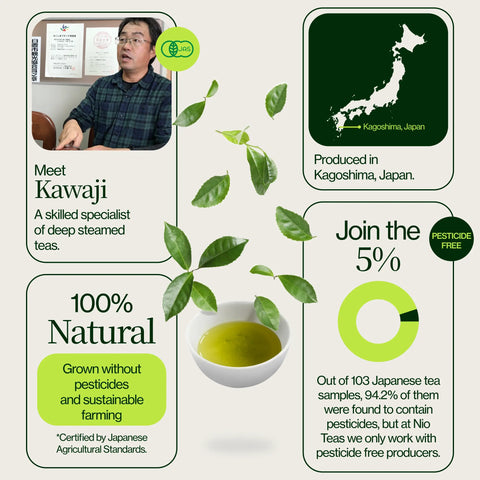 Złota Sencha Yabukita Kasugaen