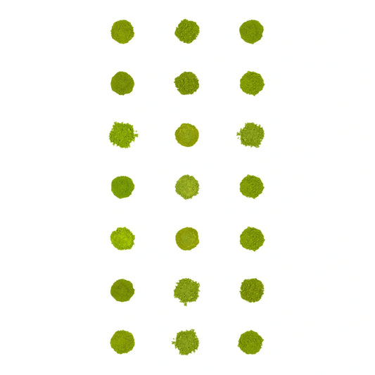 Zestaw próbek herbaty Matcha (21 sztuk)