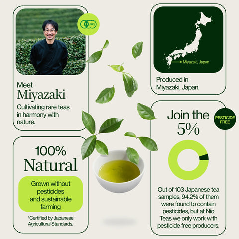 Herbata Miyazaki High Mountain Oolong