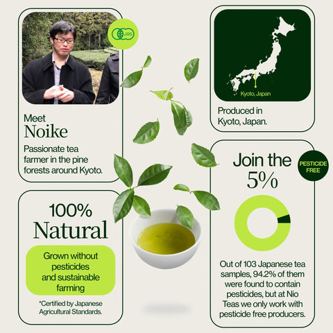 Palona zielona herbata Hojicha Noike