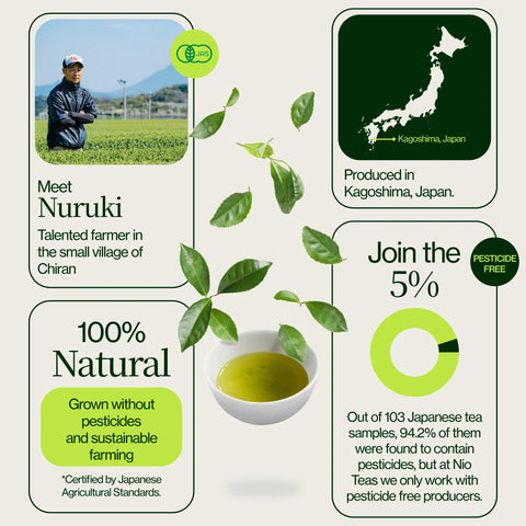 Matcha premium Chiran Zielona Herbata